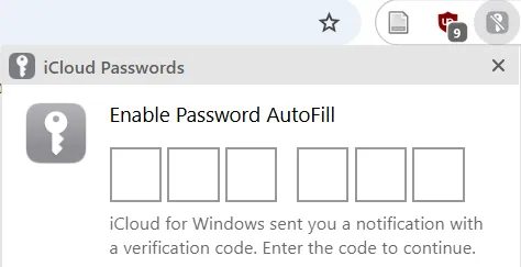 Figure 1: iCloud passwords Chrome extension PIN entry pop-up.